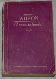 Mitchell Wilson - O raza de lumina