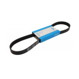 Curea Transmisie Caneluri Fiat Ducato 230 (1994-2002) 6PK915