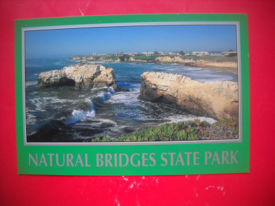 HOPCT 66782 NATURAL BRIDGES STATE PARK -SANTA CRUZ CALIFORNIA-SUA -NECIRCULATA foto