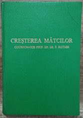 Cresterea matcilor - Dr. F. Ruttner// 1980 foto