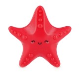Cumpara ieftin Set 4 tarusi pentru ancorare prosop plaja - Starfish | Legami
