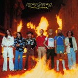 Street Survivors | Lynyrd Skynyrd