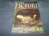 REVISTA MARI PICTORI NR 25
