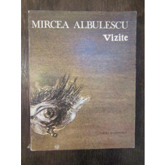 Vizite - Mircea Albulescu