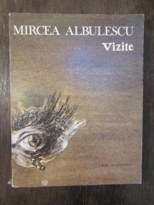 Vizite - Mircea Albulescu foto