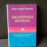 Creativitatea spontana - Tenzin Wangyal Rinpoche