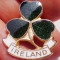 I.660 INSIGNA IRLANDA IRELAND TRIFOI h25mm email