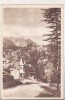 Bnk cp Sinaia - Vedere - circulata 1958 - Libraria noastra, Printata