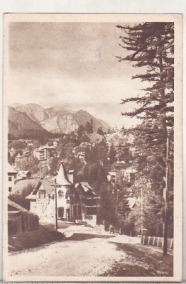 bnk cp Sinaia - Vedere - circulata 1958 - Libraria noastra foto