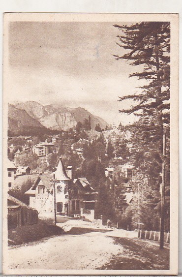 bnk cp Sinaia - Vedere - circulata 1958 - Libraria noastra