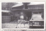 Bnk foto Dacia 1100 - anii `70, Alb-Negru, Romania de la 1950, Transporturi