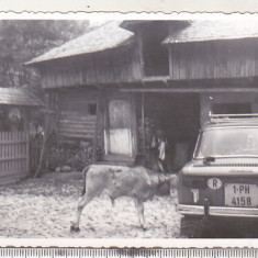bnk foto Dacia 1100 - anii `70