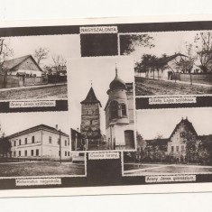 HU1 - Carte Postala - UNGARIA - Nagyszalonta, Salonta Mare, circulata 1942