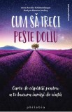 Cum sa treci peste doliu - Anne Ancelin Schutzenberger, Evelyne Bissone Jeufroy