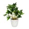 Planta artificiala decorativa - Iedera - 20 x 9 cm Best CarHome