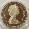 Canada 1 dolar 1989 argint Proof argint R&acirc;ul Marckenzi cu certificat, Europa