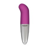 Vibratoare punctul G - Toy Joy Funky Vibrator pentru Punctul G - Violet