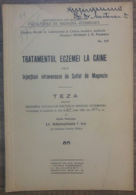 Tratamentul eczemei la caine prin injectiuni intravenoase de sulfat de magneziu foto