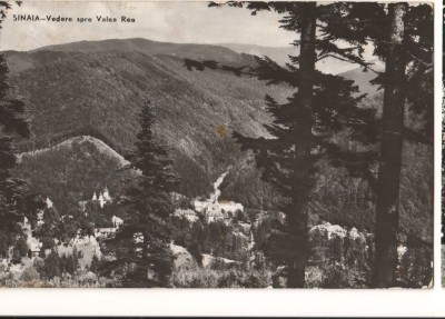 CPI B13667 CARTE POSTALA - SINAIA - VEDERE SPRE VALEA REA, RPR foto