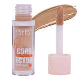 Concealer Corector Ushas #10