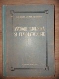 Anatomie patologica si fiziopatologie H. Ioachim, H. Maier, E. Seropian