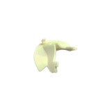 Ecran fund bazin masina spalat vase Electrolux Original Cod 1119177010