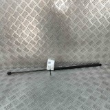 Amortizor capota st&acirc;nga față AUDI A5 Cabrio 8F7 2017 OEM: 8T0823359 29454975