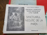 Sanctuarul neolitic de la Parta-Gh Lazarovici vintage, 1991