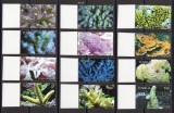 TUVALU 2006, Corali, serie neuzată, MNH