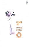 Spark Joy | Marie Kondo, Vermilion