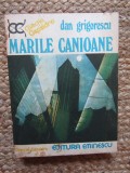 DAN GRIGORESCU - MARILE CANIOANE