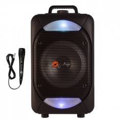 Boxa Portabila N-Gear The Flash 610 Putere 100W Led Disco RGB foto