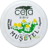 Unguent Musetel 20gr