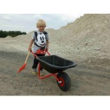 Roaba Dino Cars