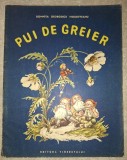 Pui de greier - Domnita Georgescu Moldoveanu, Povestire, Copii, 1965, Romana, Brosata, Stare Buna