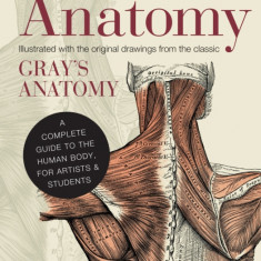 Anatomy: A Complete Guide to the Human Body, for Artists & Students