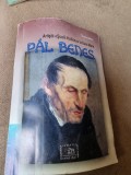 Tiberiu Alexa - Artistii Scolii Hollosy la Baia Mare. Pal Benes