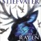 The Raven King (the Raven Cycle, Book 4)