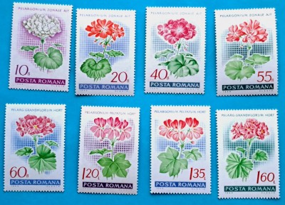 TIMBRE ROMANIA LP 678/1968-Muscate din gradina - Serie simpla- MNH foto