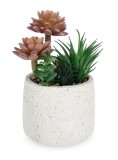 Cumpara ieftin Planta suculenta artificiala in ghiveci &Oslash;14x24h
