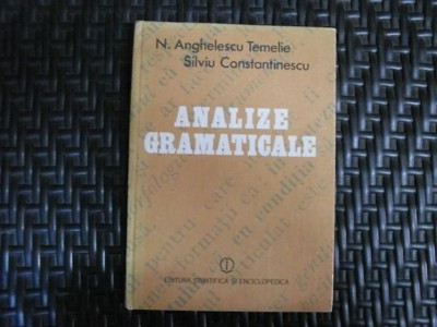 Analizae Gramaticale - N. Anghelescu Temelie Silviu Constatinescu , 20612 foto