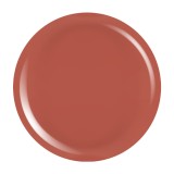 Cumpara ieftin Gel Colorat UV PigmentPro LUXORISE - Redwood Rustic, 5ml