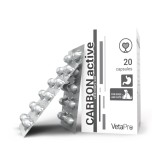 VETAPRO CARBON ACTIVE 250MG 20CAPS CUT SUPORT GASTROINTESTINAL CAINI SI PISICI