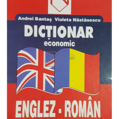 Andrei Bantas - Dictionar economic englez-roman (editia 2001)
