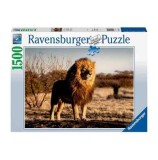 Cumpara ieftin Puzzle Leu regele animalelor, 1500 piese