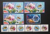 R.DU TCHAD-BROASTE TESTOASE-SET 6 V.+4 S/Sh.NEOBLITERATE-DANTELATE-MNH** - EP 040, Africa, Transporturi
