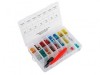 Set 150 Sigurante Auto Mini si Standard cu Tester 6-24V, Cleste Inclus