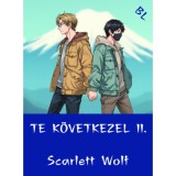 Te k&ouml;vetkezel II. - Scarlett Wolf