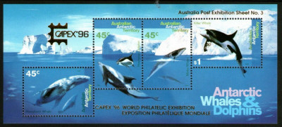 Australian Antarctic 1996 - Fauna marina, supr. expo, bloc neuza foto