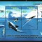 Australian Antarctic 1996 - Fauna marina, supr. expo, bloc neuza